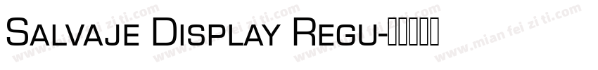 Salvaje Display Regu字体转换